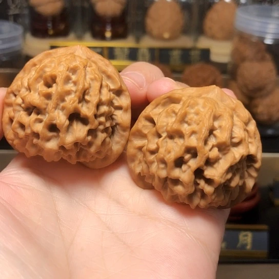 版中版：大肚玄月狮子头