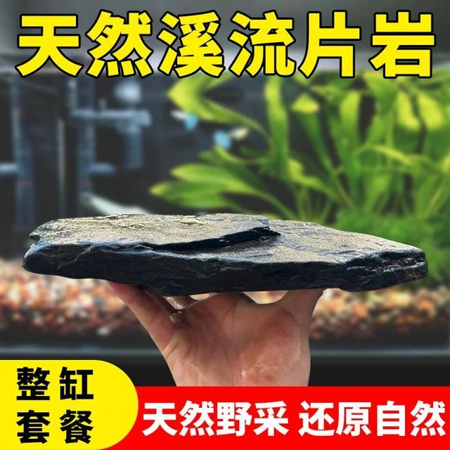 鱼缸造景天然溪流石主石大块片岩石乌龟缸晒台躲避原生溪流缸造景