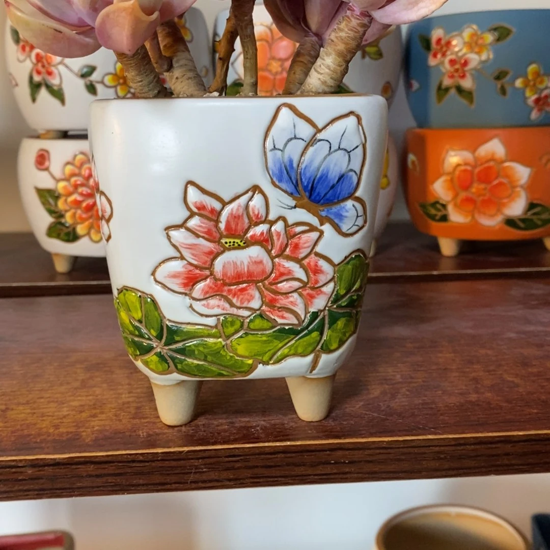 红陶韩式多肉植物花盆