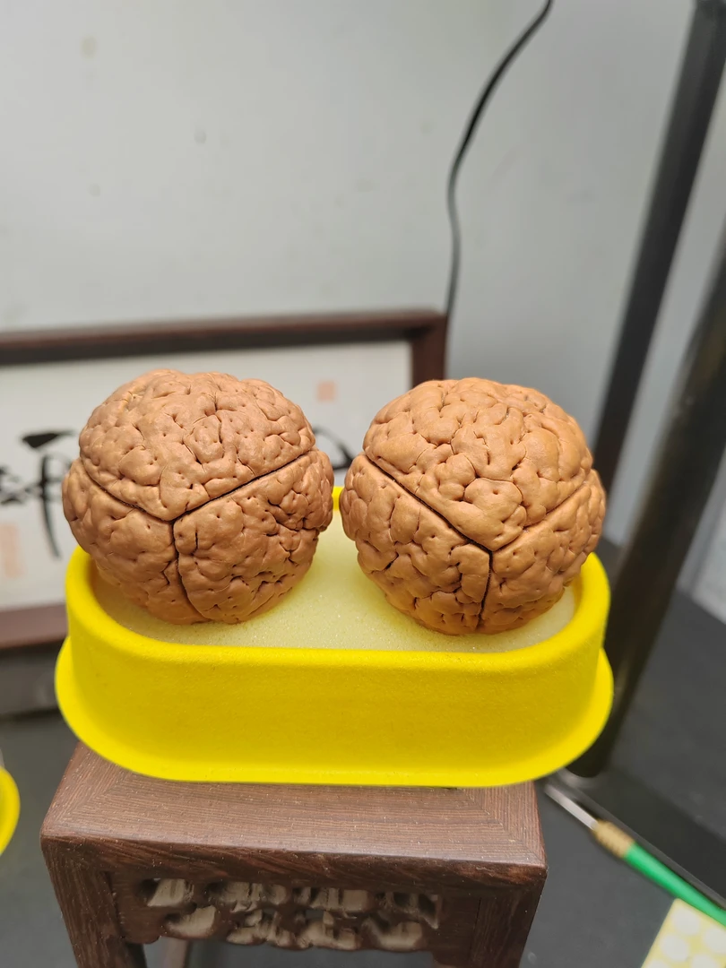 三瓣脑纹金刚菩提4850