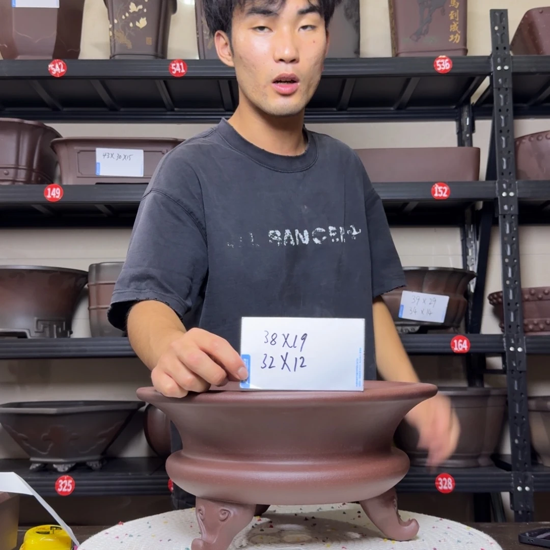 紫砂其他呜呜呜呜