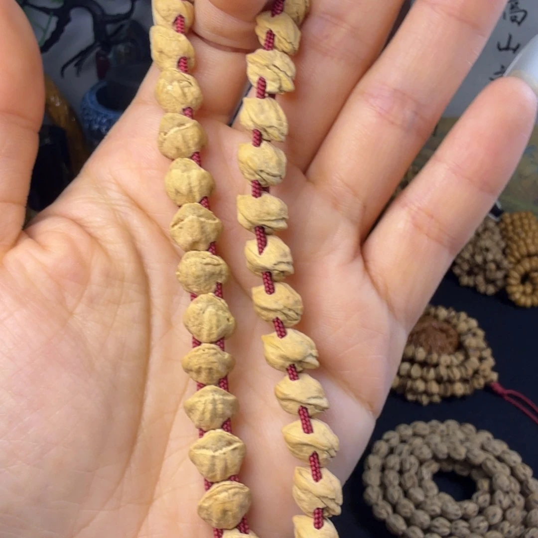 柏木无事牌双线蛇骨