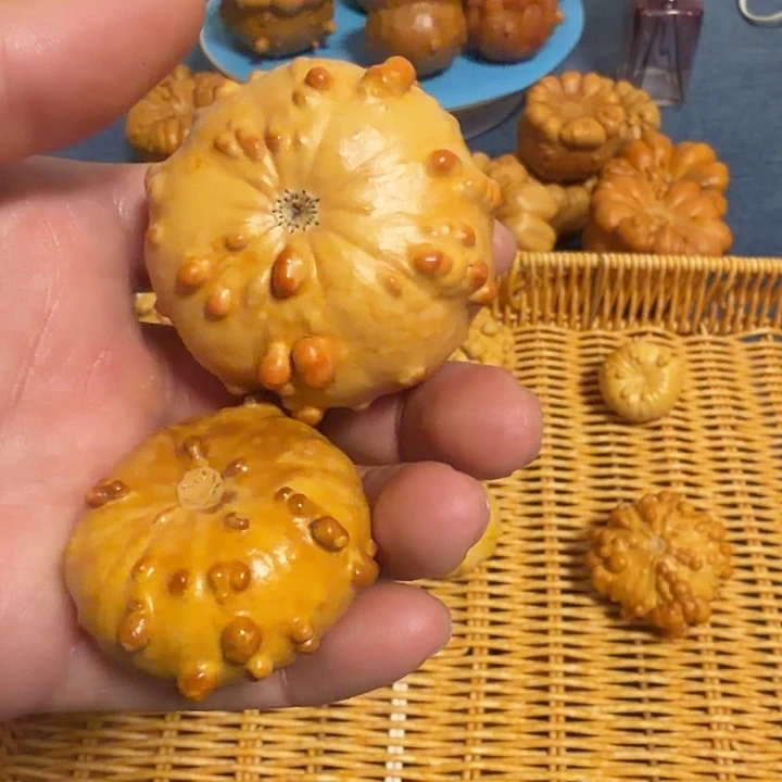 菡***萏墨西哥七彩疙瘩葫芦