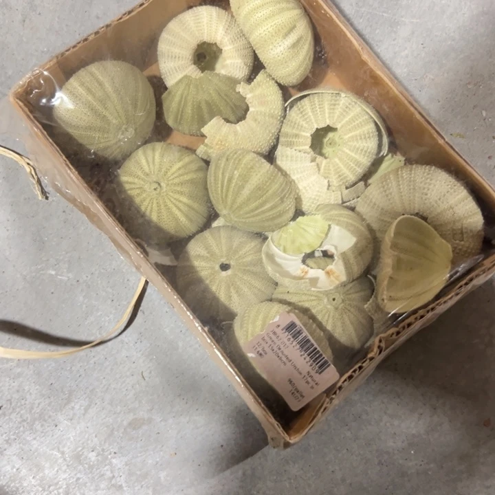 黑***妖外贸孤品，默认瑕疵