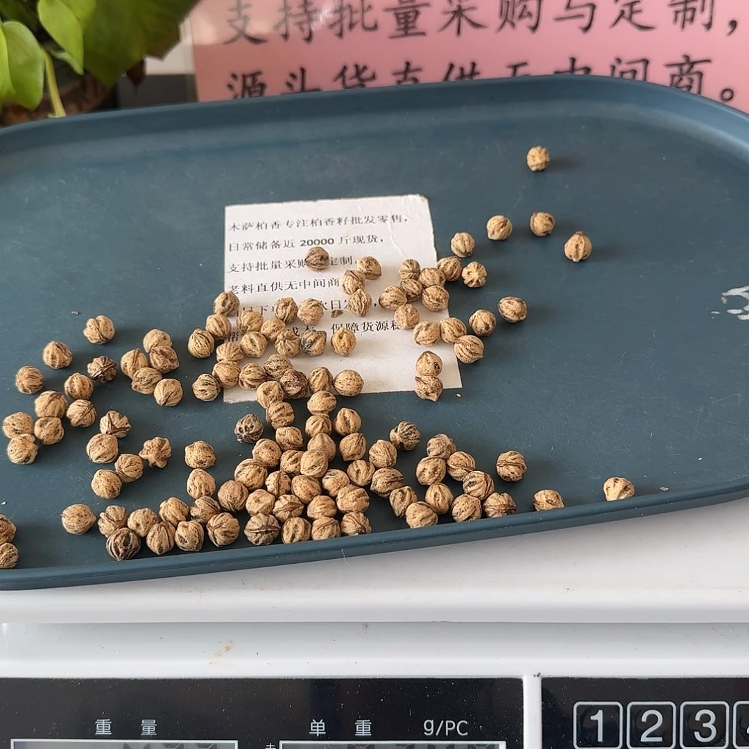 吊坠柏香籽/百香籽43克8.5+HY001