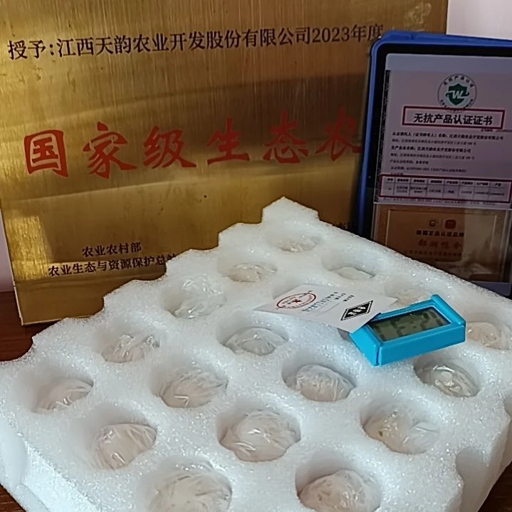 包装中国大陆60g新鲜无抗鸭蛋20枚