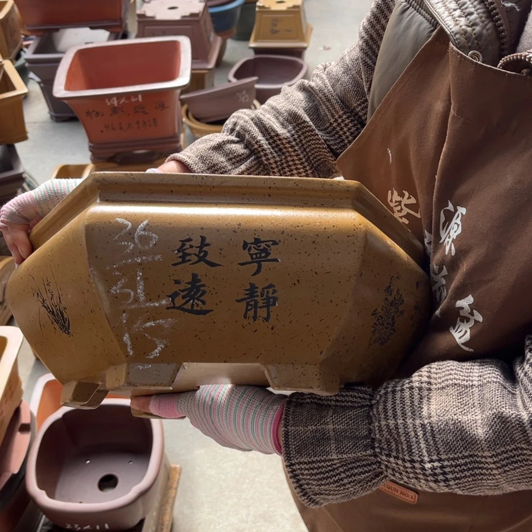 花盆紫砂盆景艺术
