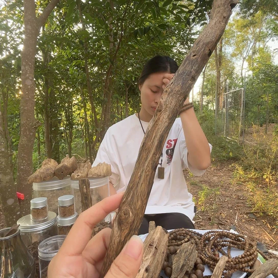 虫漏熏香品香天然