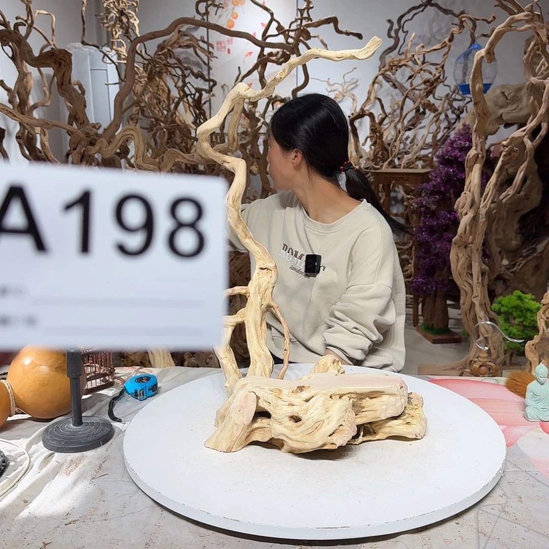 风车木（黑檀木）确*