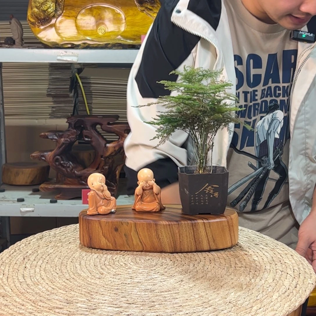 香樟木原木产品木头