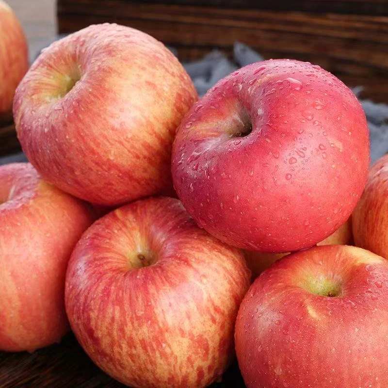 脆甜山东苹果水果红富士当季冰糖新鲜整箱包邮批发