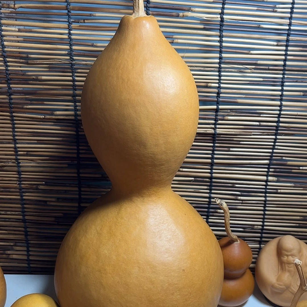 亚腰葫芦品种葫芦