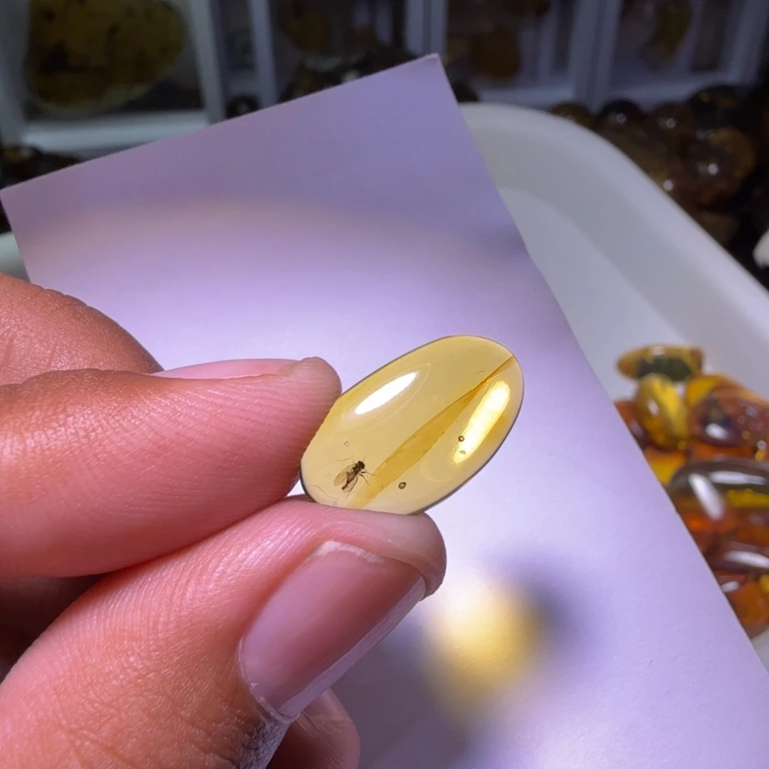 千***里琥珀未镶嵌裸石，，，
