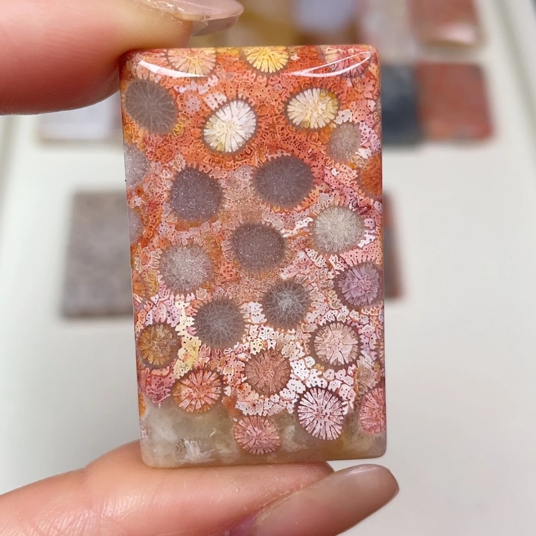 【闪购商品】未镶嵌吊坠(赠链)硅化玉