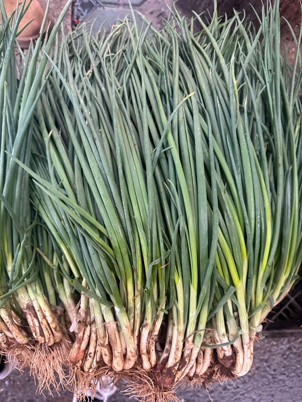 贵州大学生助农*小葱