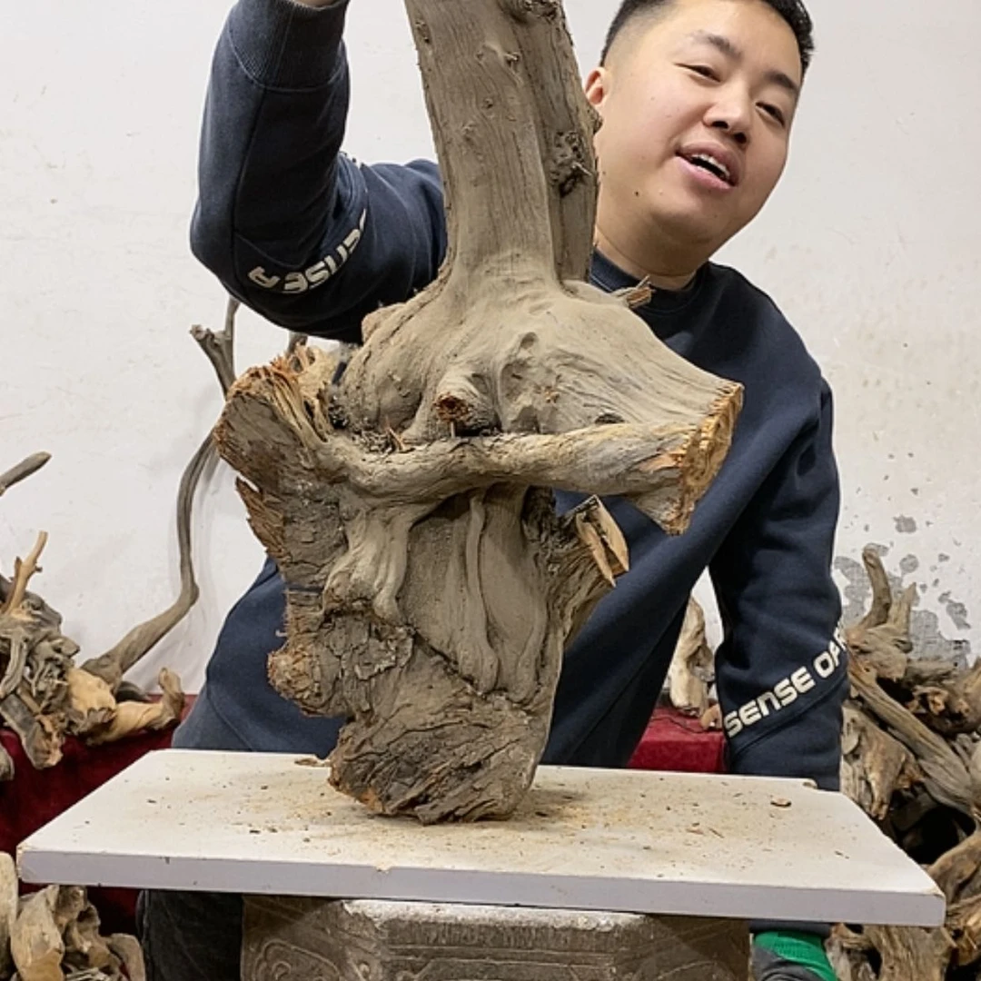 【闪购商品】柏木不****头我们都是好孩子