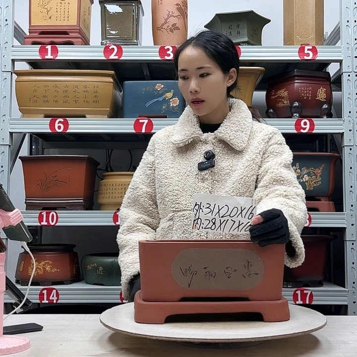 紫砂花盆紫砂花盆