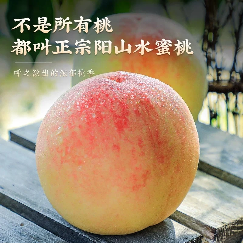 正宗阳山水蜜桃-无锡【5两-6两】一盒8个 【桃园发货】