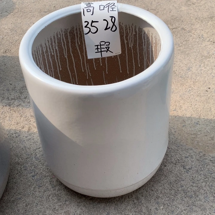 花盆里的小猫咪们都好可爱啊哈哈哈