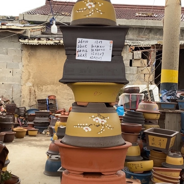 红陶这样我也可以去