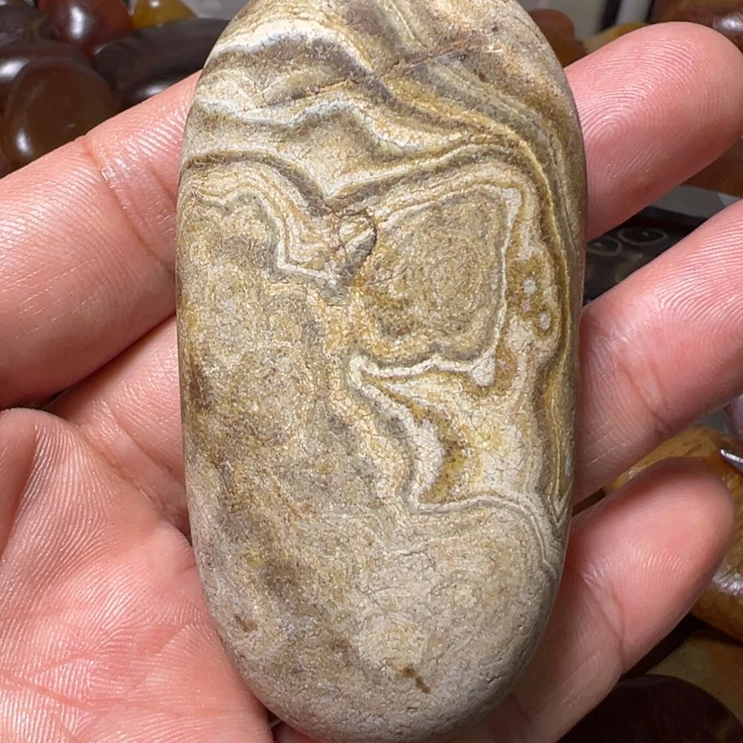 楠****瓷片马达加斯加奇石