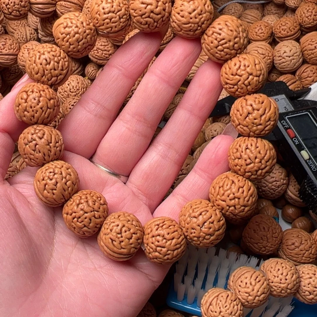 18尺寸小钢炮桃核