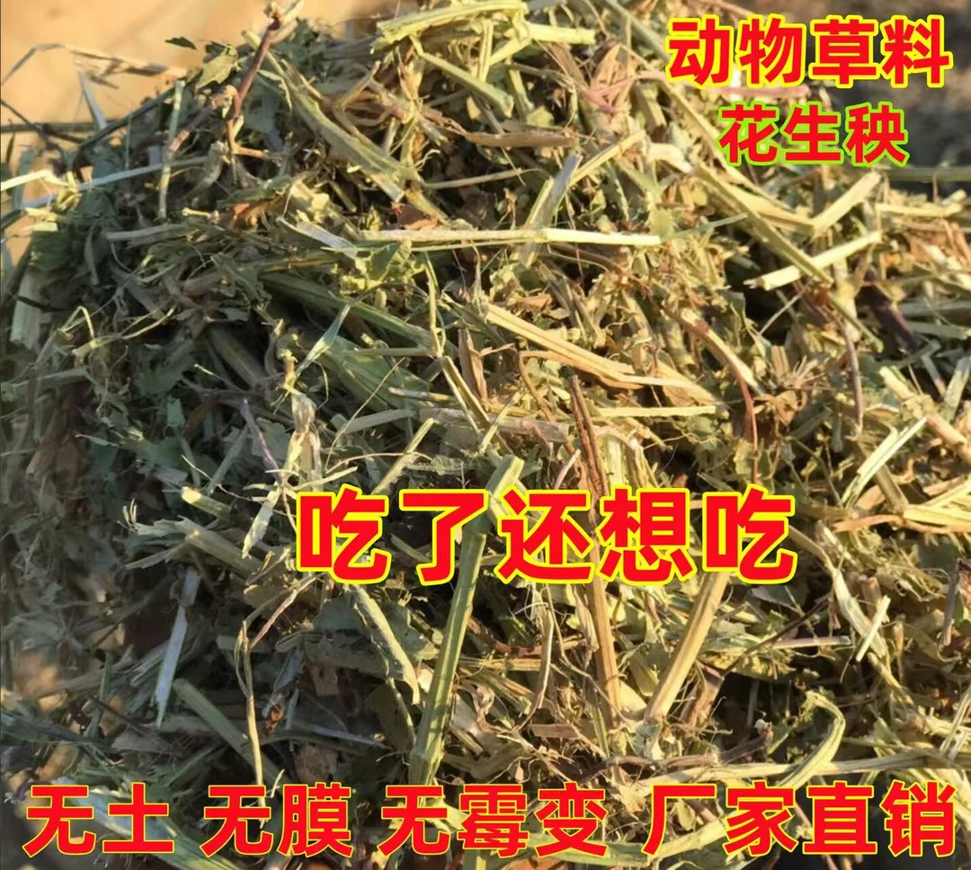 【都说好】花生秧高营养动物饲草牛马羊鹿等当年新花生秧动物草料