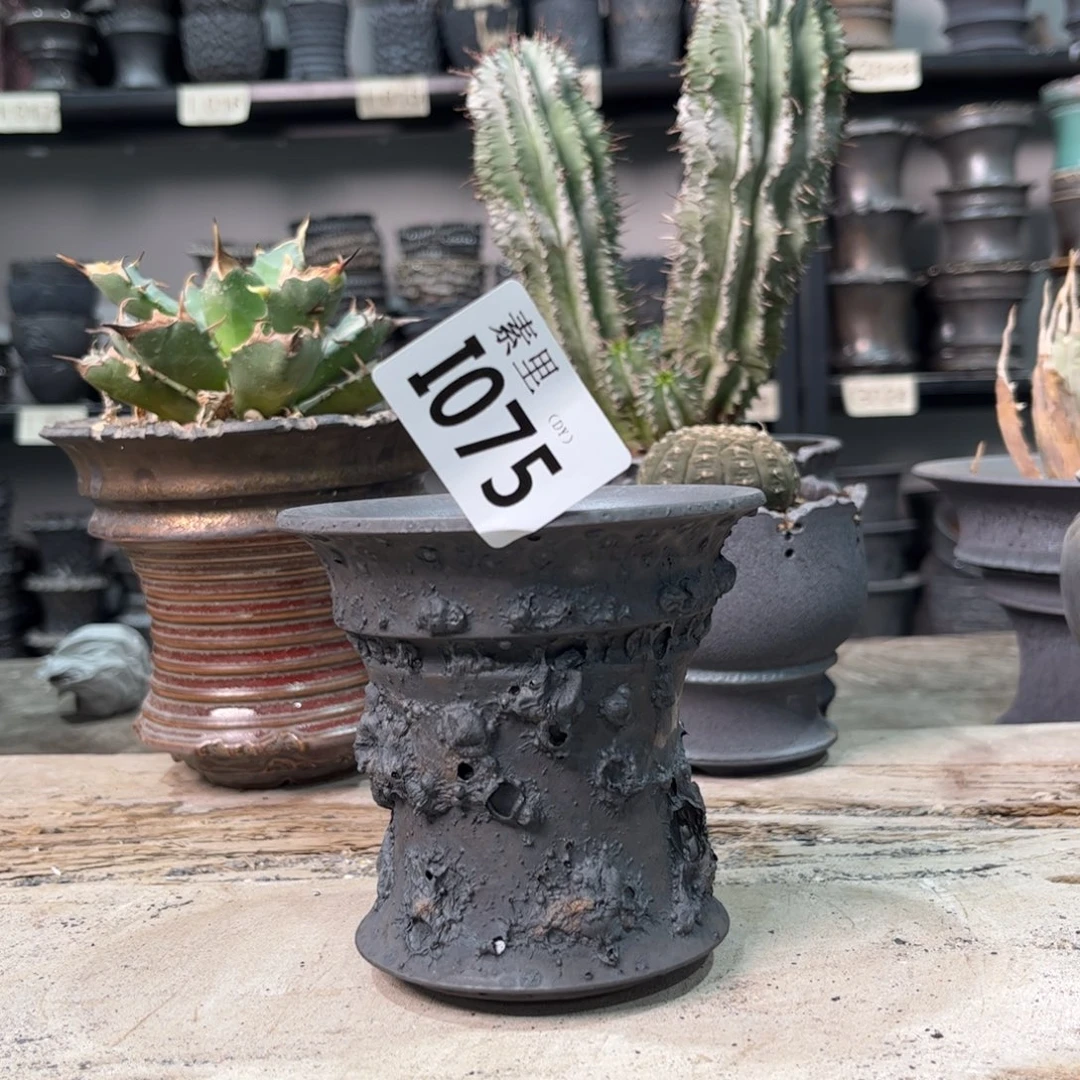 陶内口10高9.5景德镇