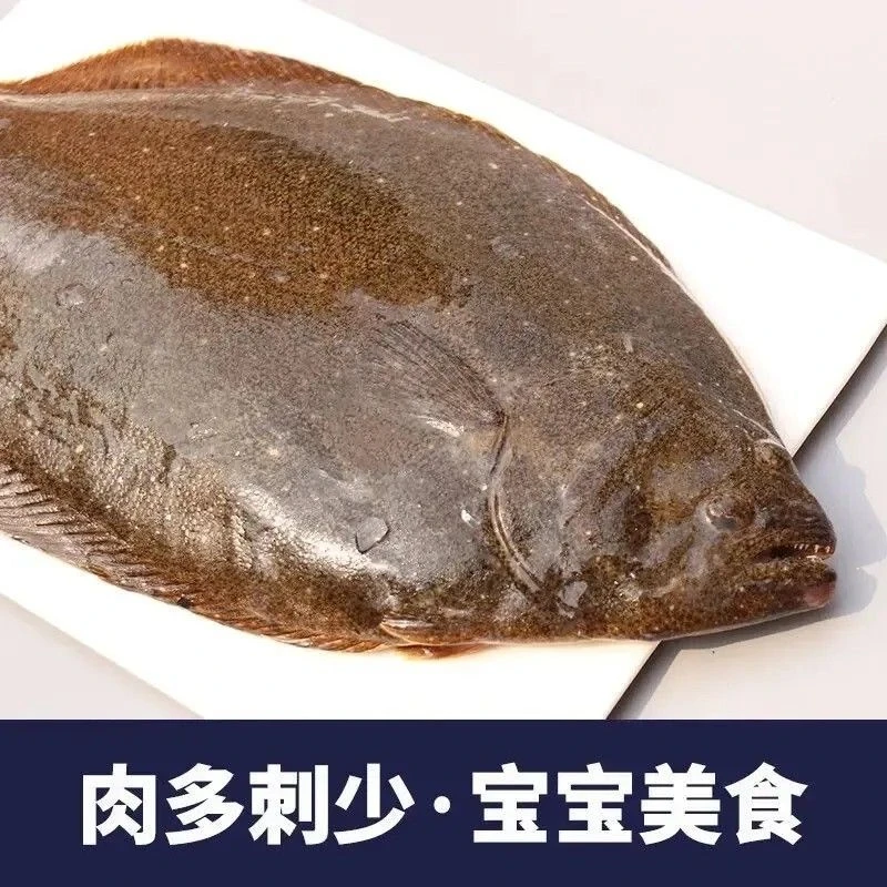 当天海捕新鲜大偏口鱼冰鲜大鸦片鱼大长脖鱼冷冻大比目鱼海牙片鱼