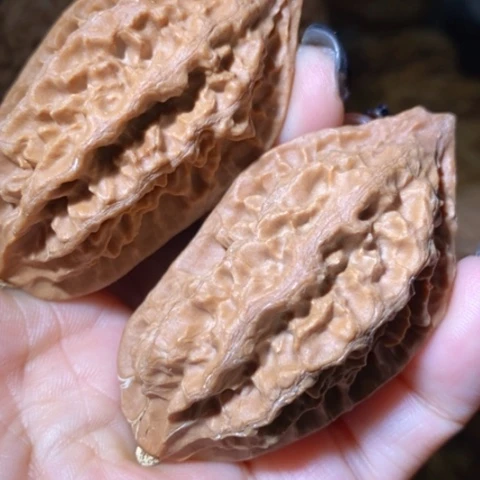 把件文玩核桃东北野生楸子小美46