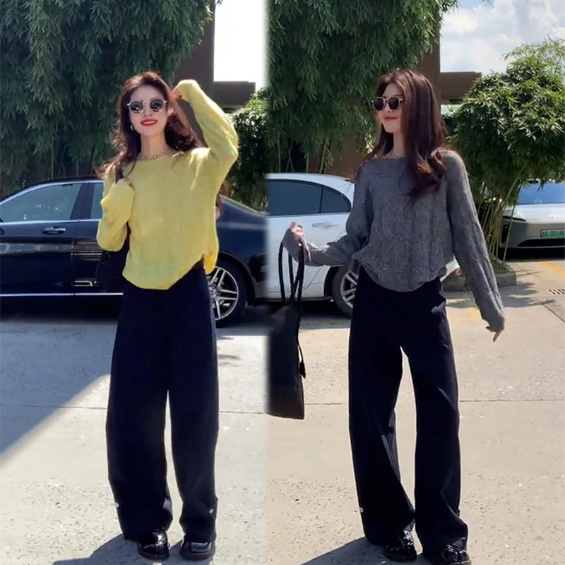 2025秋季新款设计感一整套慵懒风长袖圆领上衣女休闲阔腿裤两件套