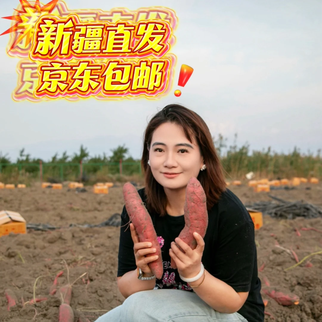 新疆西瓜红蜜薯新鲜现挖礼盒装