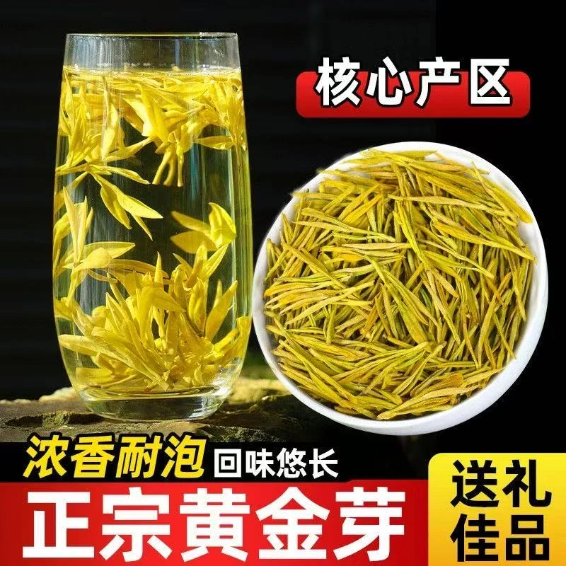 【2025春季】精品珍惜新茶浓香型高豆茶叶高山黄金芽口粮茶原产地
