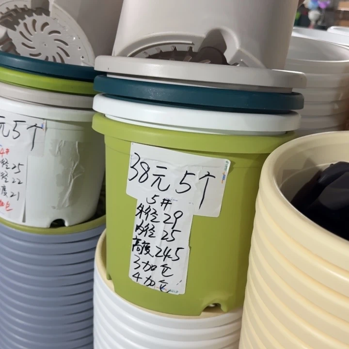 四季5#口径29果绿10个无托