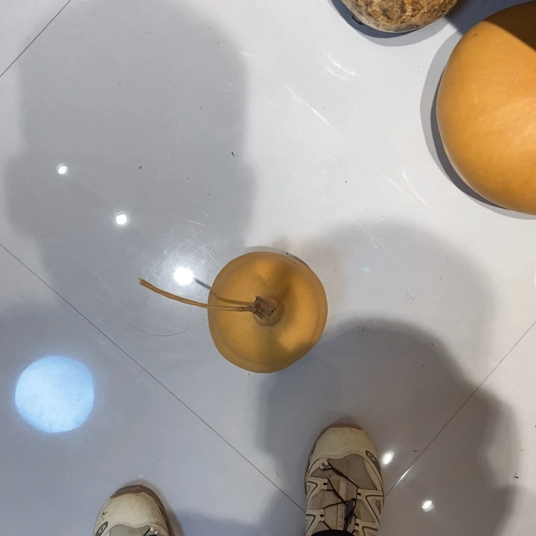 诗***造哈哈哈哈哈哈哈哈哈