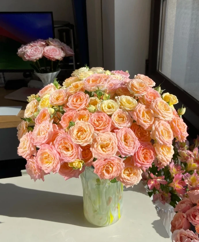 【全场任意两单包邮】簪花笑多头玫瑰8-10枝（1枝不赔付）