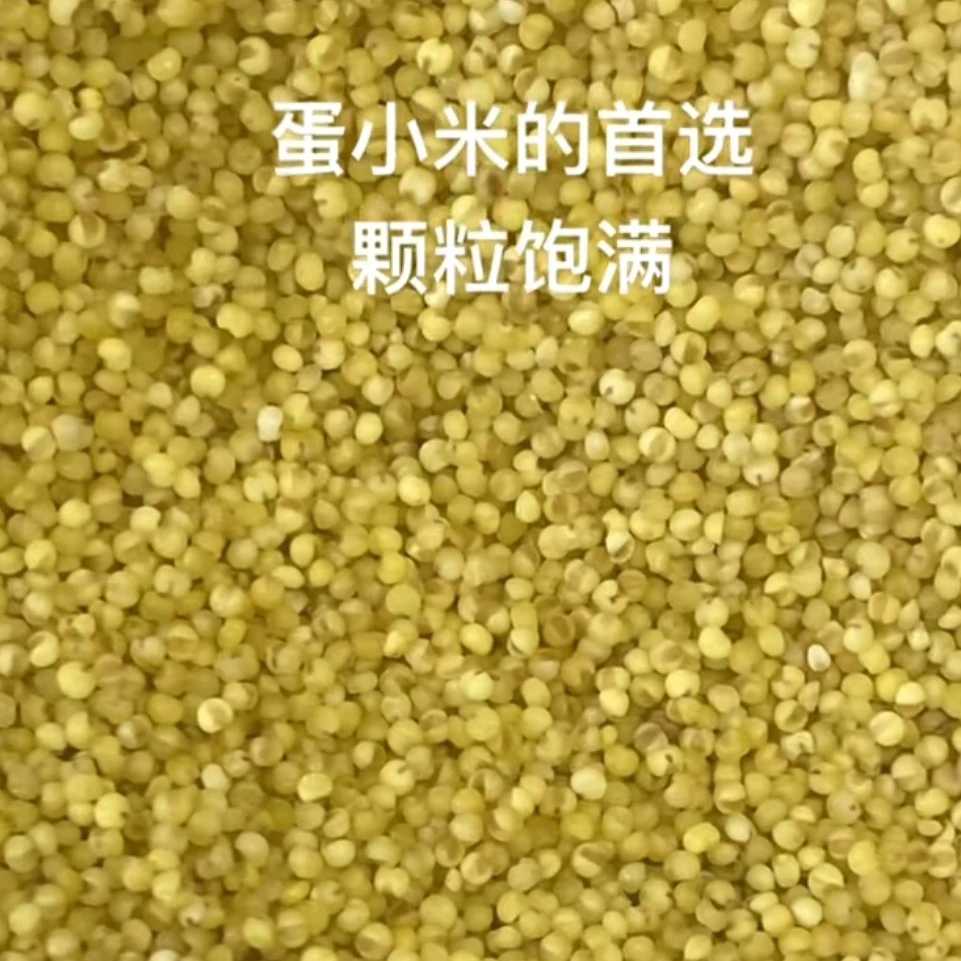 观赏鸟食用蛋小米含多种维生素钙能量500克