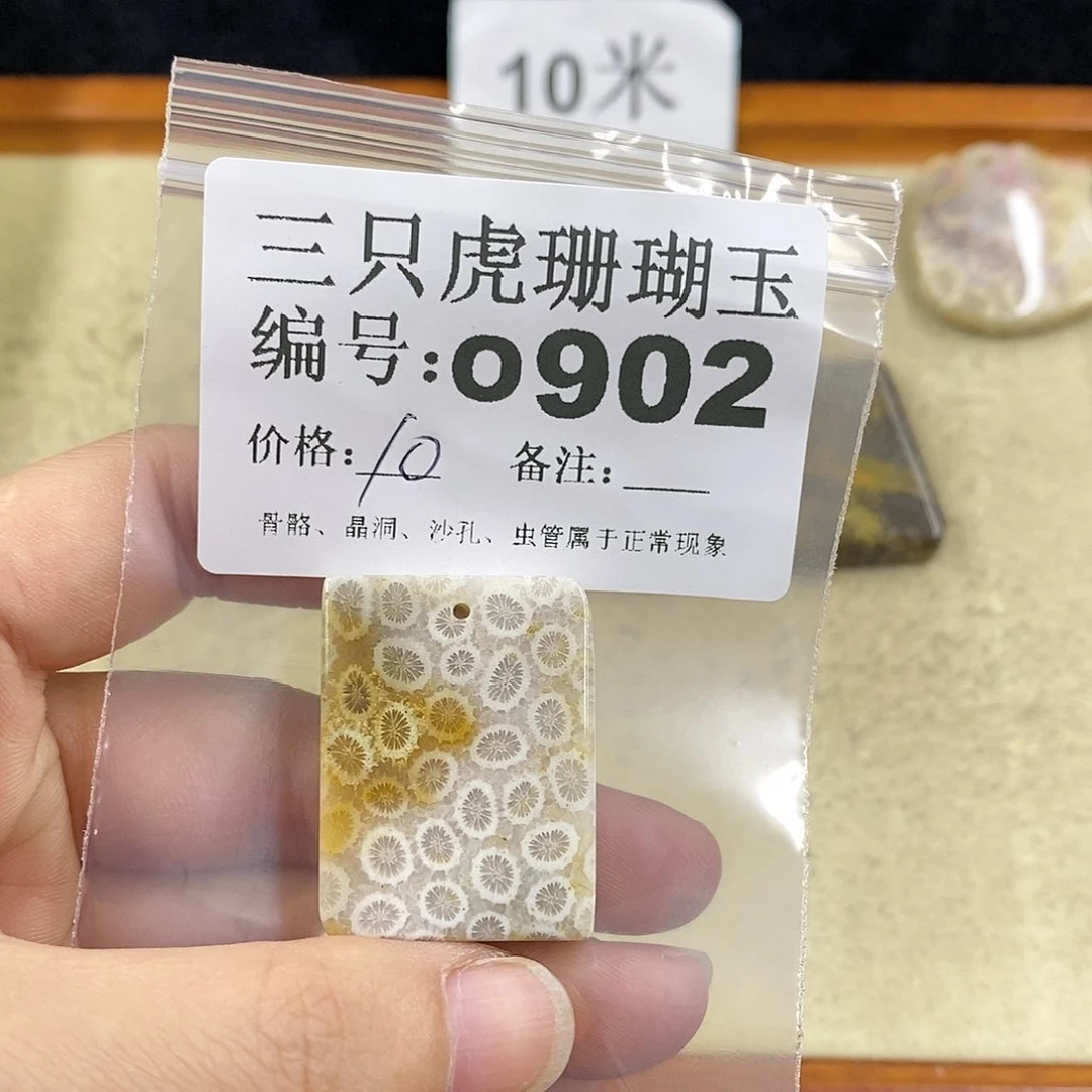 硅化珊瑚（珊瑚玉）1未镶嵌?***?
