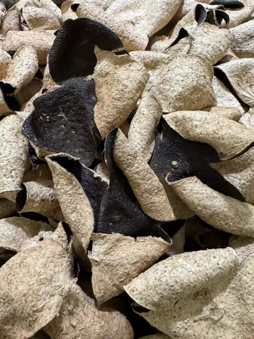 东甲牛比围青皮2007年新会老陈皮