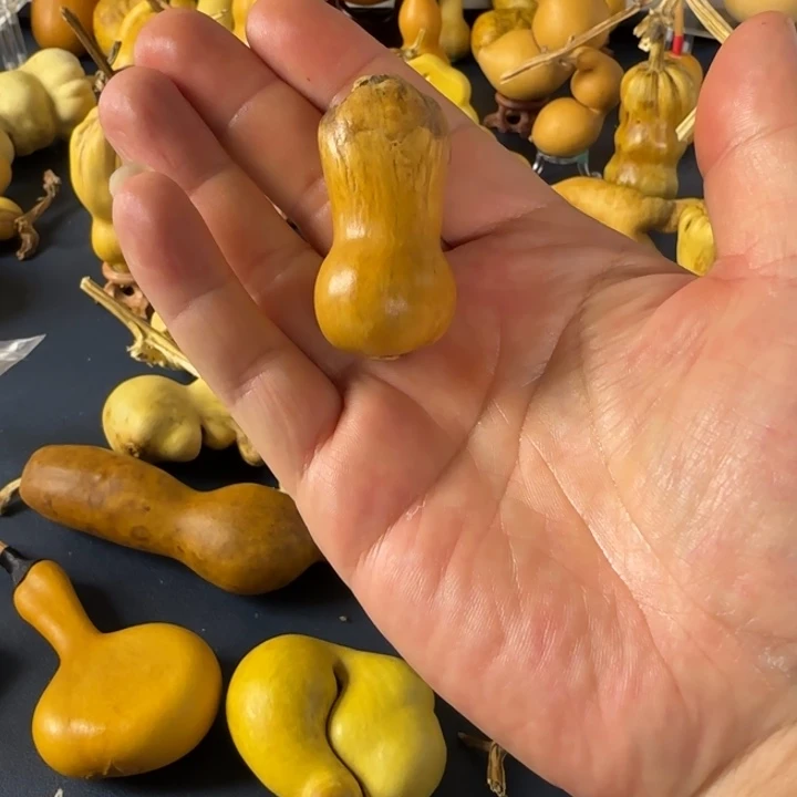 娜***咪双方还就看见哈哈嘎嘎嘎嘎嘎嘎嘎嘎