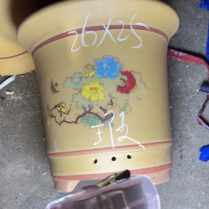 紫砂紫砂紫砂紫砂紫砂
