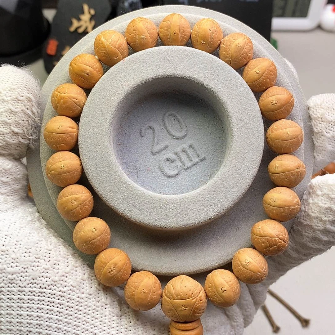 吊坠凤眼菩提12尺寸新籽