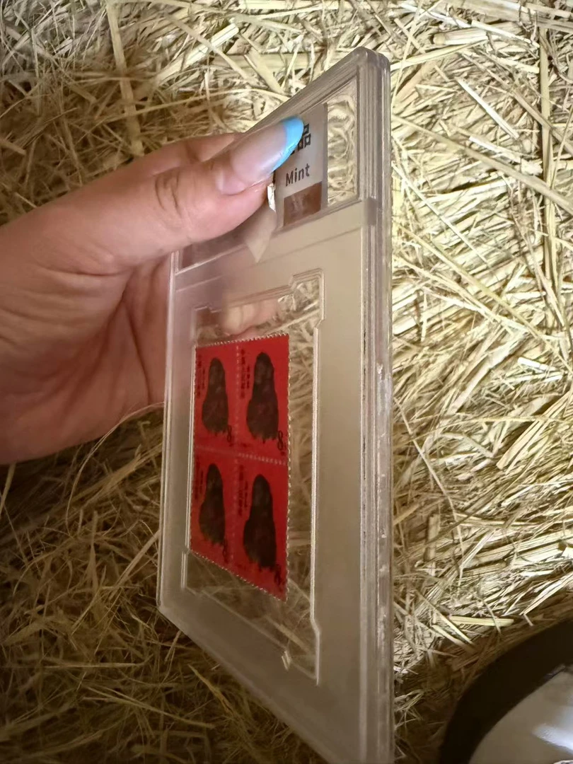 居家摆件 hp 居家摆件