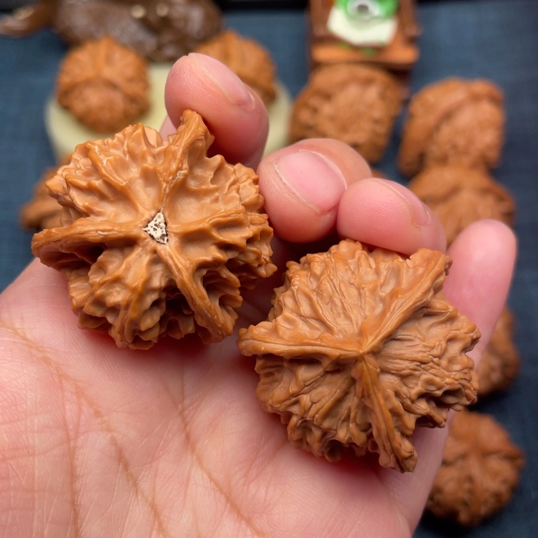 文玩核桃把件37毕业盘山正奔全品