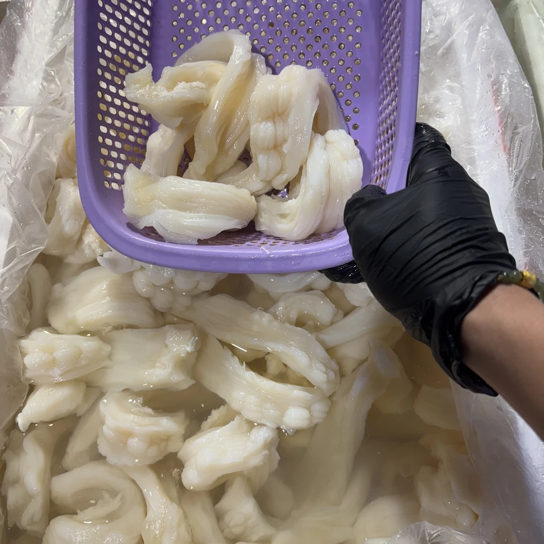 天然鲨鱼肚3斤 炖汤 爆炒 打火锅 营养丰富（缩水10%介意勿拍）