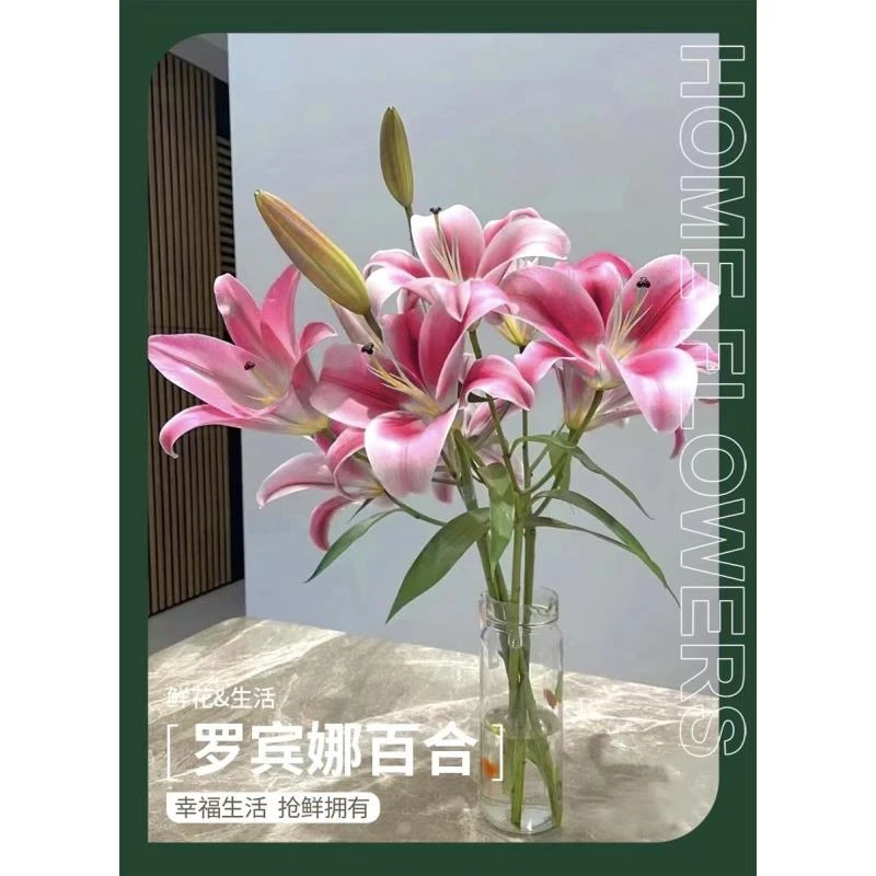 【粉红色香水百合】全场任意两单顺丰/京东