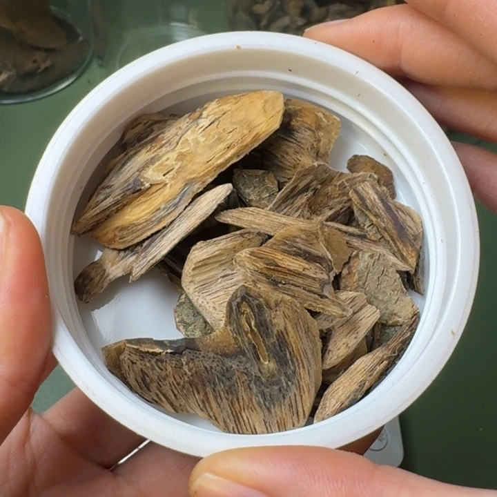 沉香手把件秋**境海南天然野尖峰岭虎斑棋皮油块料10.9克