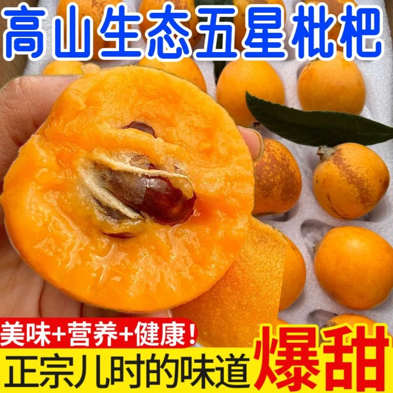 贵州高山当季露天老树土批杷新鲜水果 现摘现发货