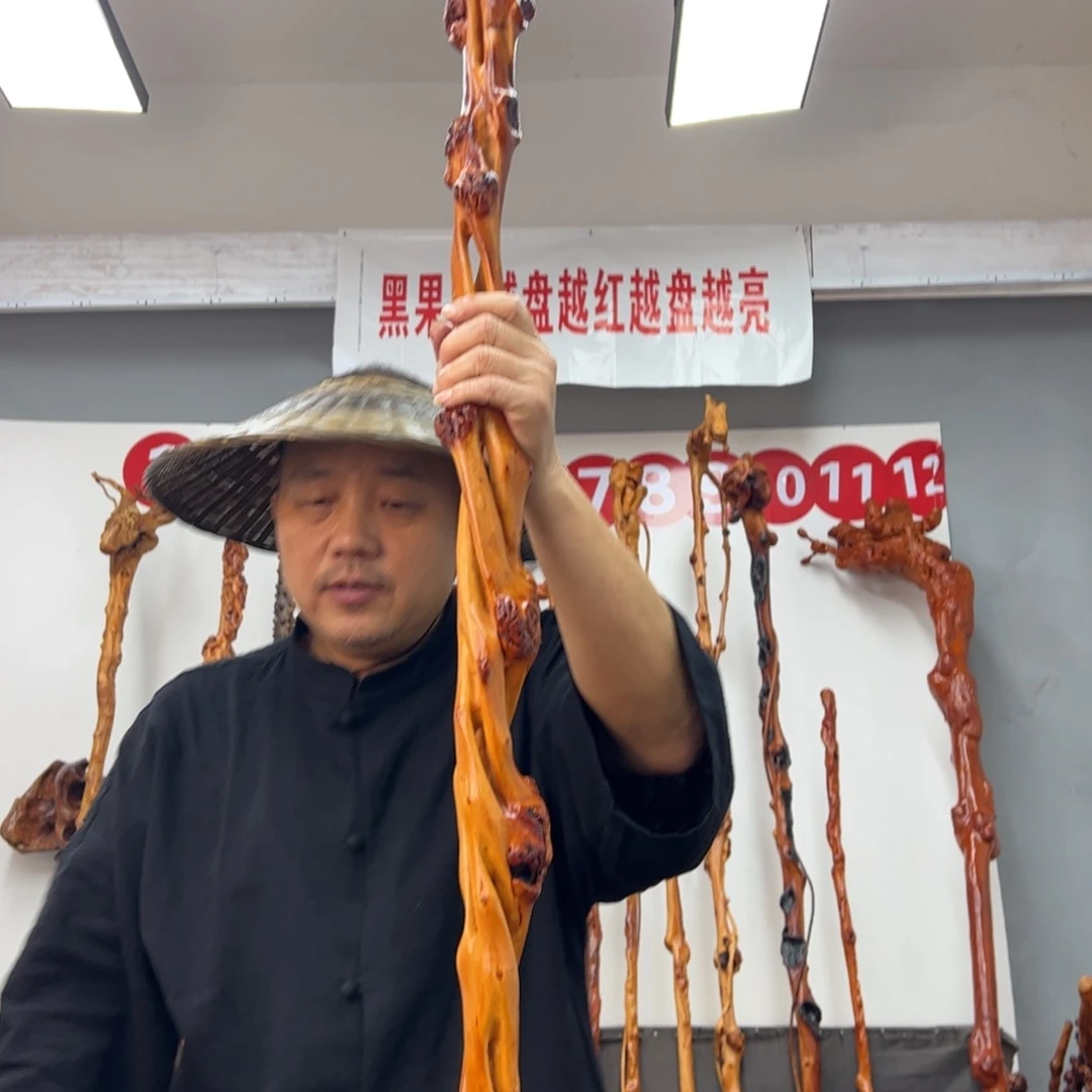 难***涂黑果木其他黑果木261
