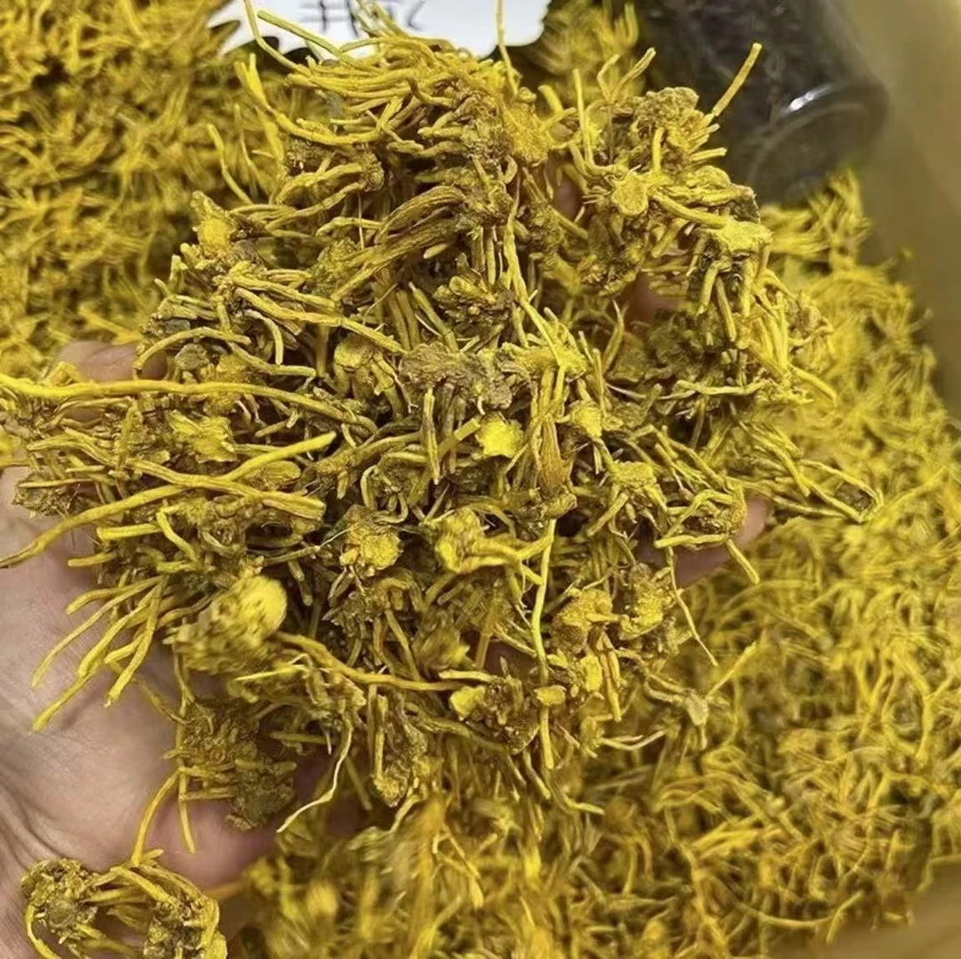 XD【彝人阿朱 龙】须石斛高山缅缅山货